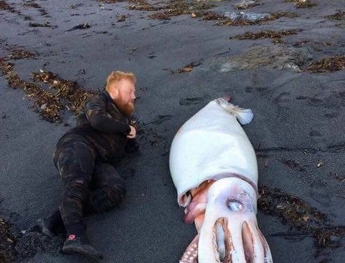 Τρία αδέλφια πήγαν στην παραλία – Επαθαν την τρομάρα της ζωής τους όταν είδαν αυτό στην αμμουδιά (εικόνα, βίντεο)